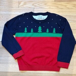 Festive Red and Blue Boy’s Sweater